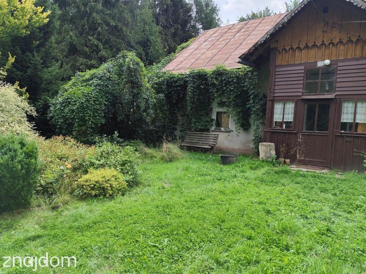 Siedlisko | działka 4600 m2 | ogród - zdjęcie 9