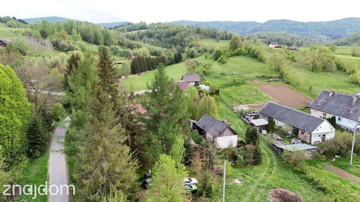 Siedlisko | działka 4600 m2 | ogród - zdjęcie 13