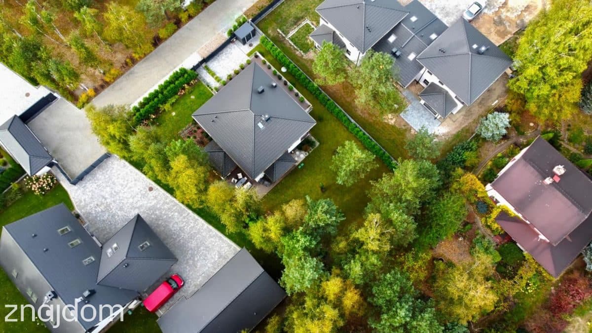 Smart Home | Zieleń | las - zdjęcie 3
