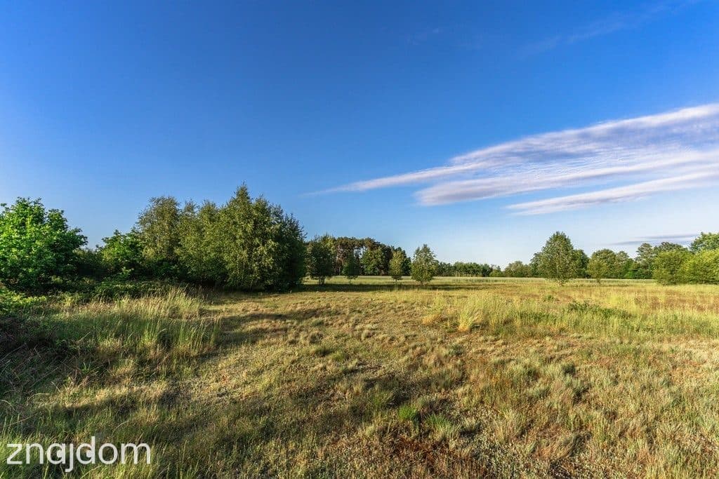 Gotowy teren inwestycyjny blisko A2 - zdjęcie 14