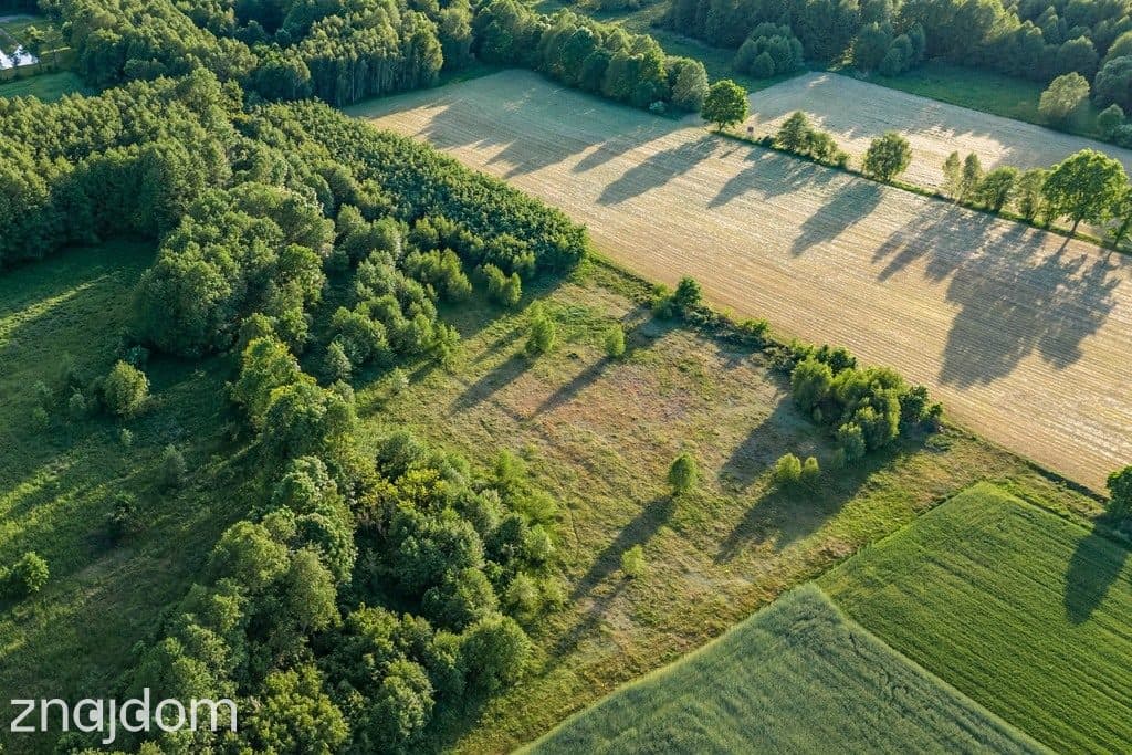 Gotowy teren inwestycyjny blisko A2 - zdjęcie 3