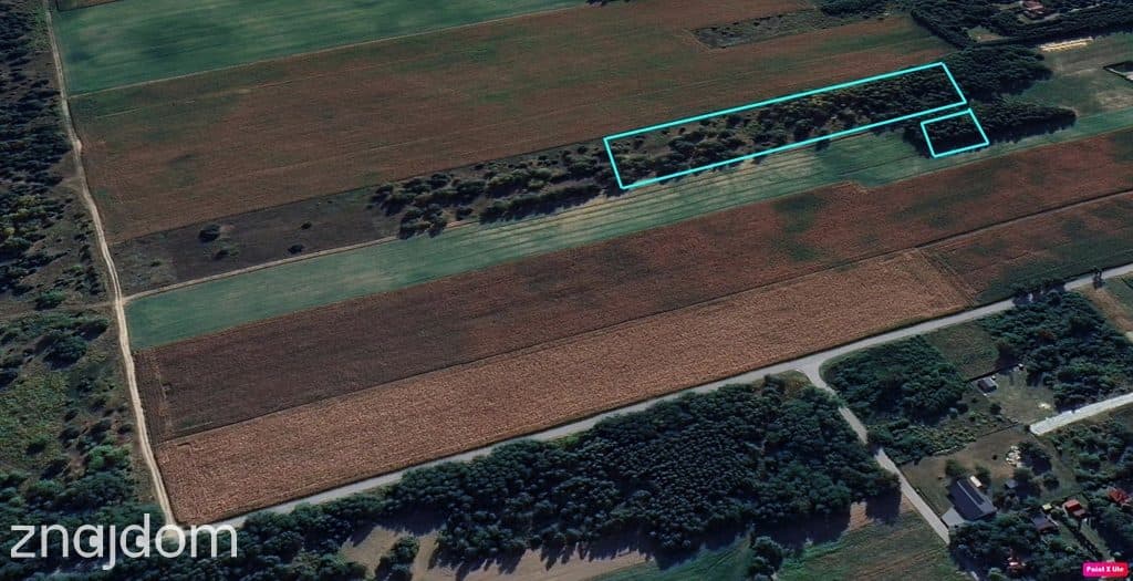 Tymianka - działki 1203–1614 m², MPZP - zdjęcie 4