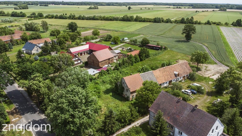 Działa z budynkiem gospodarczym Bożnów - zdjęcie 2