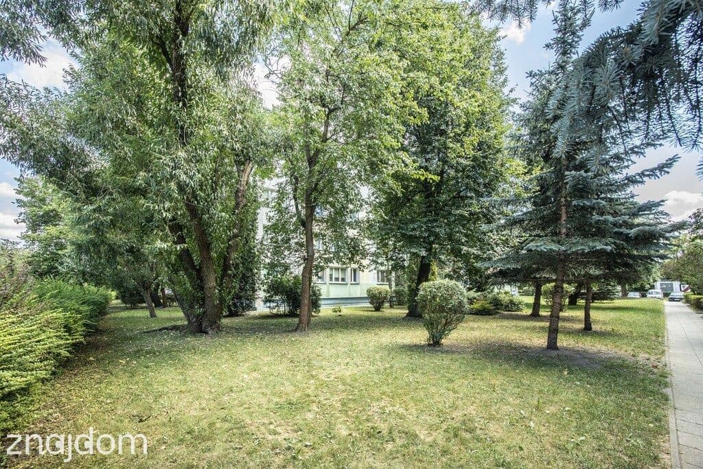 Okazja inwestycyjna: 27 m² przy Parku na Zdrowiu - zdjęcie 12