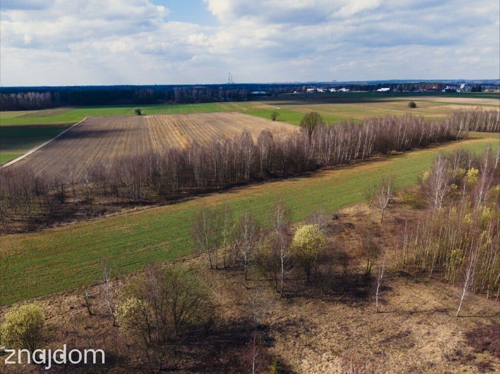 Działka budowlana 966m² Justynów | MPZP - zdjęcie 4