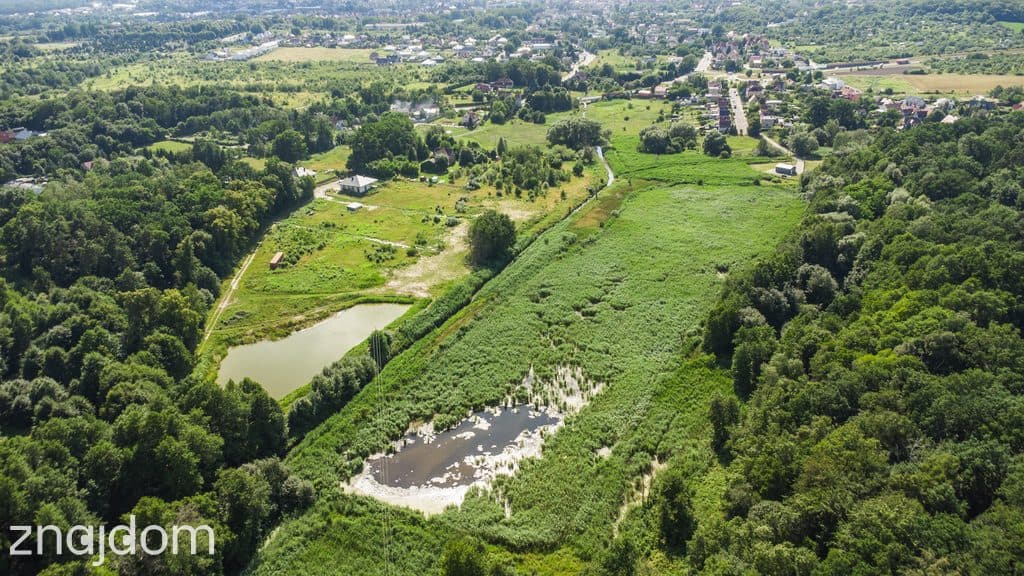 Prawie 7 ha w Żarach za 7.99 zł/m² - zdjęcie 4