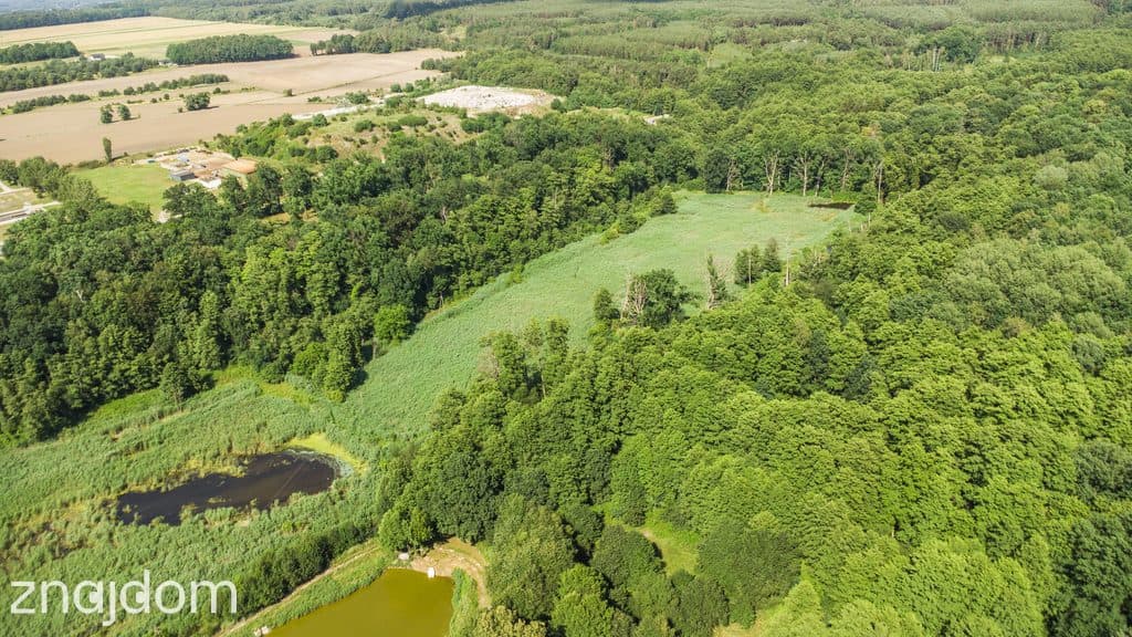 Prawie 7 ha w Żarach za 7.99 zł/m² - zdjęcie 5