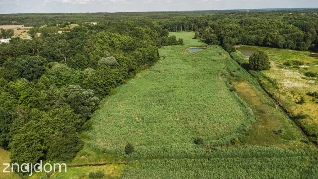 Prawie 7 ha w Żarach za 7.99 zł/m² - zdjęcie 8