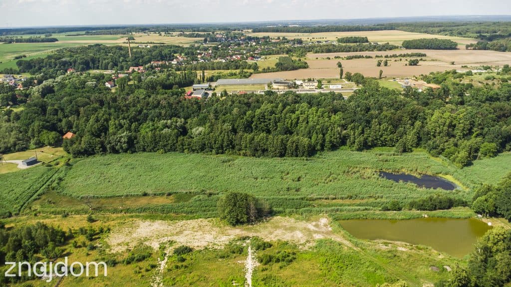 Prawie 7 ha w Żarach za 7.99 zł/m² - zdjęcie 10