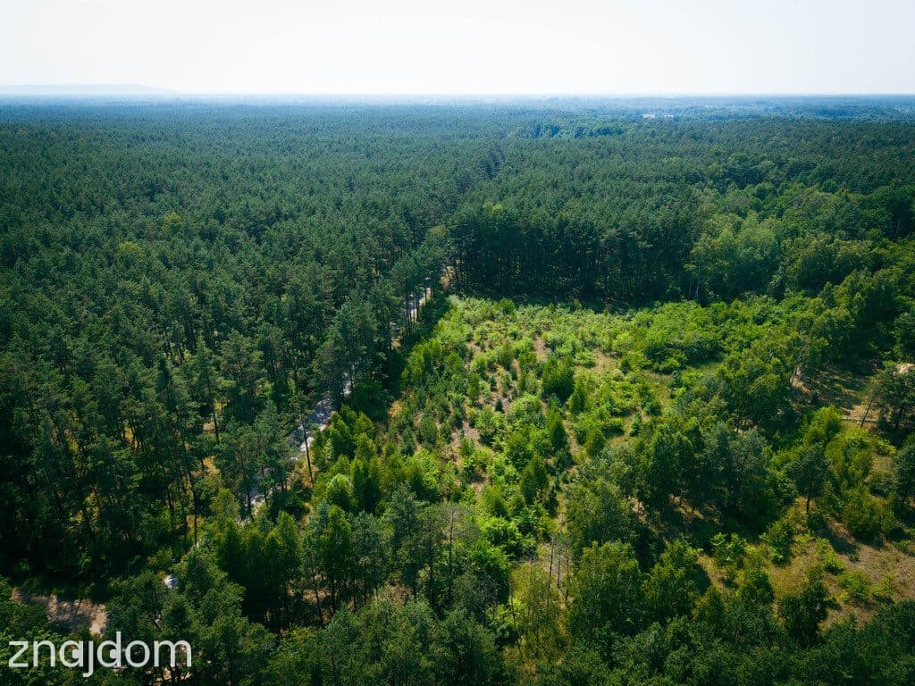 Działka budowlana, 3000m2, Osina, gm. Kluki - zdjęcie 8