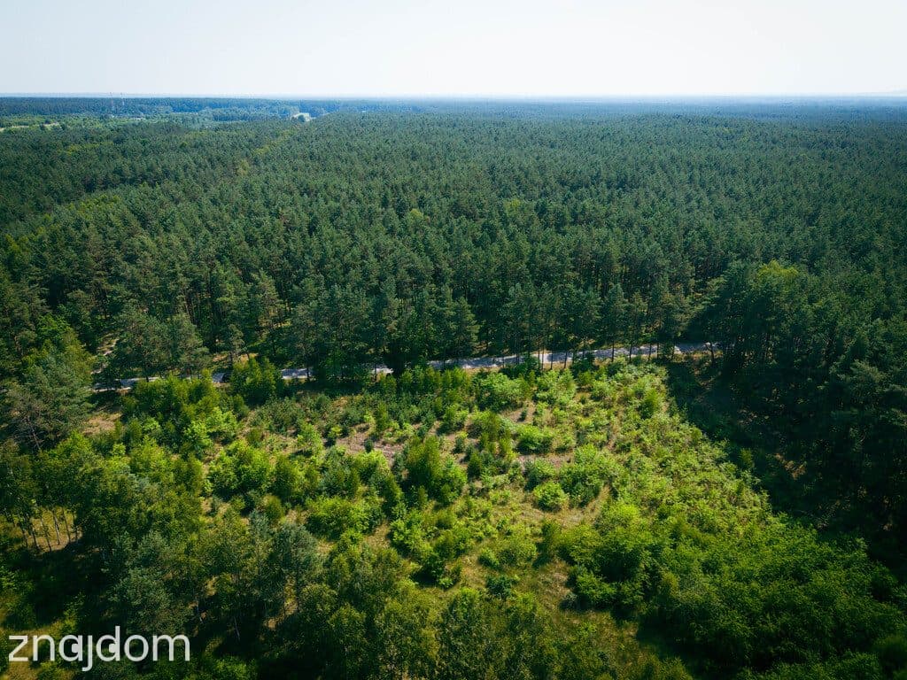 Działka budowlana, 3000m2, Osina, gm. Kluki - zdjęcie 11