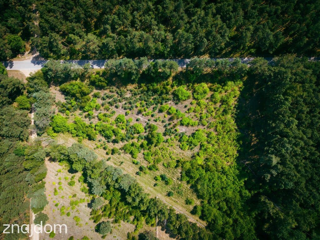 Działka budowlana, 3000m2, Osina, gm. Kluki - zdjęcie 3
