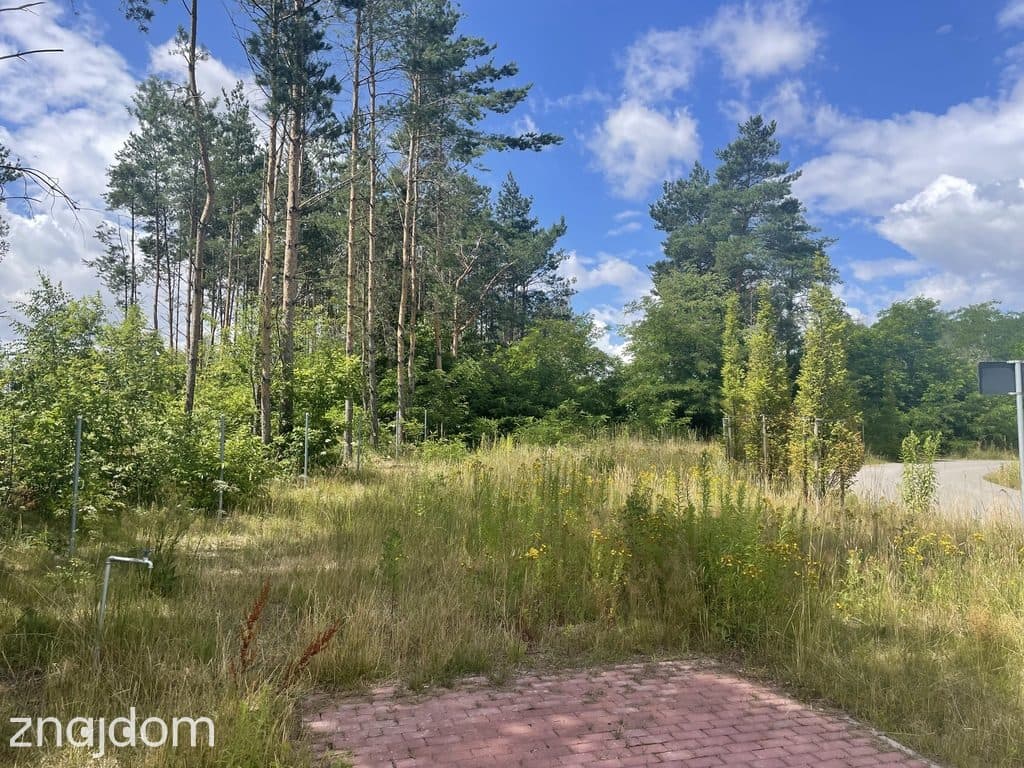 Duża działka w Łodzi – gotowa na Twój dom