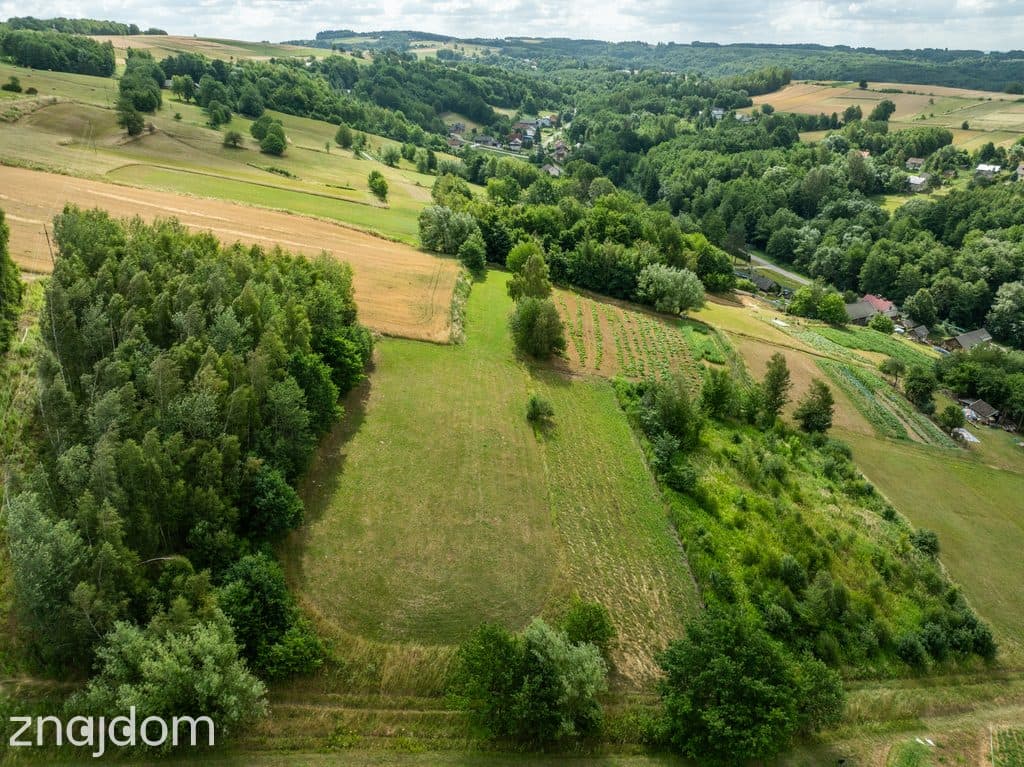 Broniszów - leśna  29 ar - zdjęcie 2