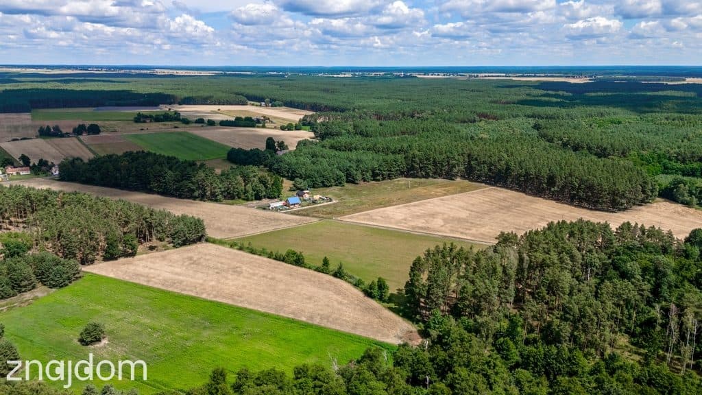 3 lub 6 domów? Ty zdecyduj! - zdjęcie 6