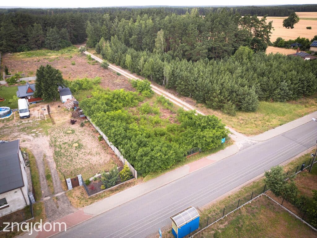 Działka siedliskowa, 3808m2,Borowo I, gm. Koluszki - zdjęcie 6
