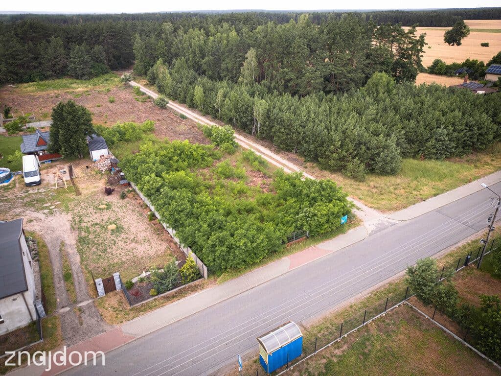 Działka siedliskowa, 3808m2,Borowo I, gm. Koluszki - zdjęcie 7