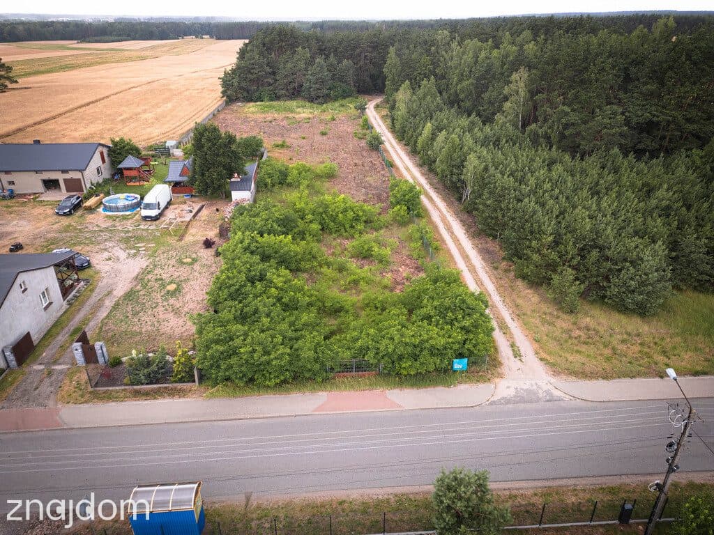 Działka siedliskowa, 3808m2,Borowo I, gm. Koluszki - zdjęcie 9