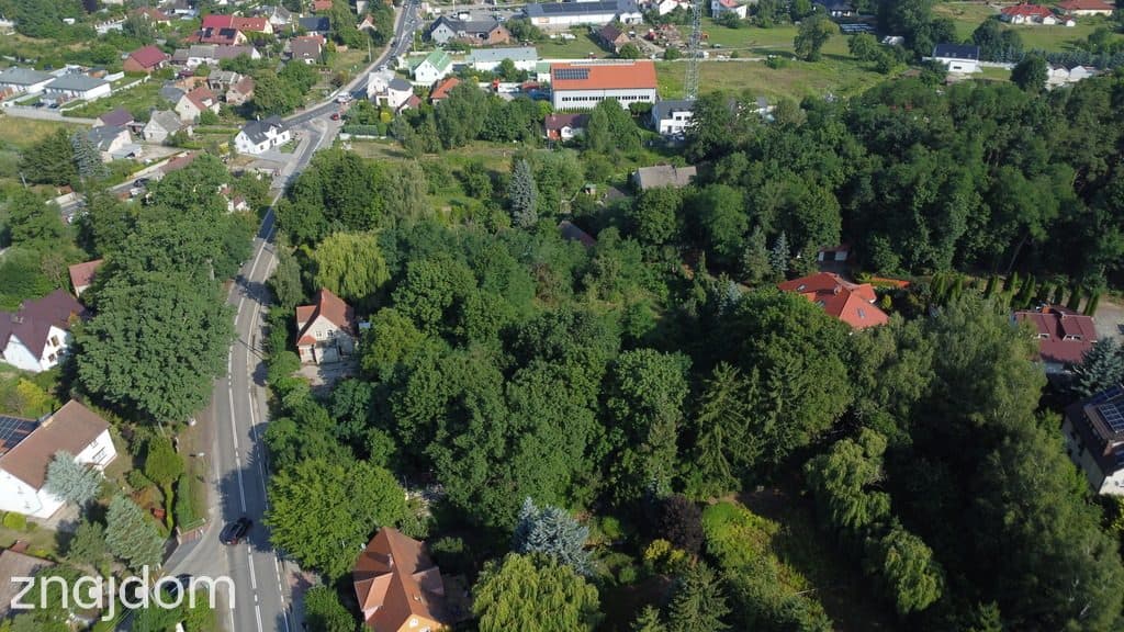 Działka 3195 m² z mediami! Racula – potencjał! - zdjęcie 6