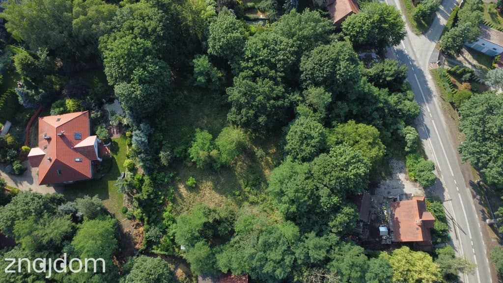 Działka 3195 m² z mediami! Racula – potencjał! - zdjęcie 5