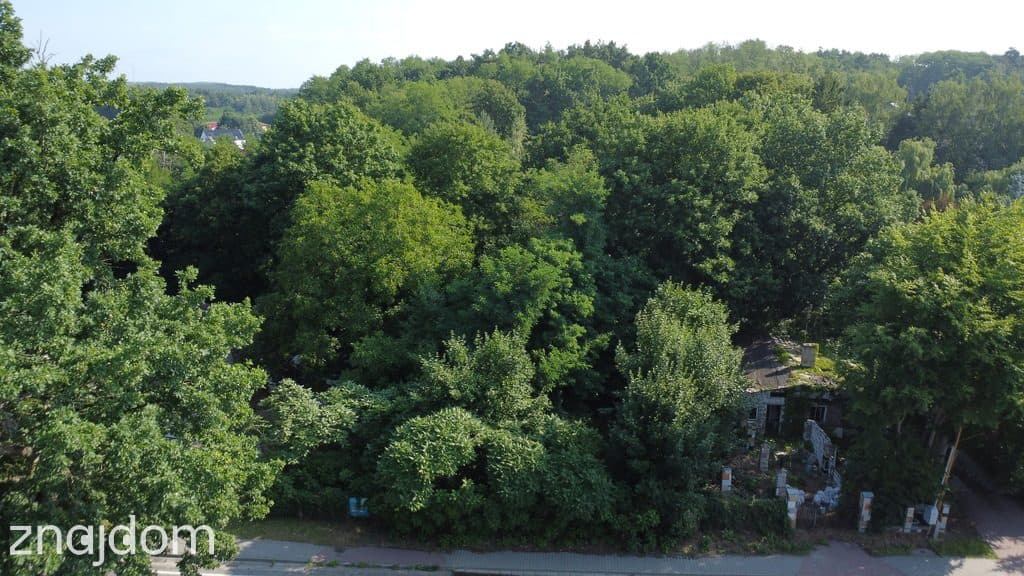 Działka 3195 m² z mediami! Racula – potencjał! - zdjęcie 9