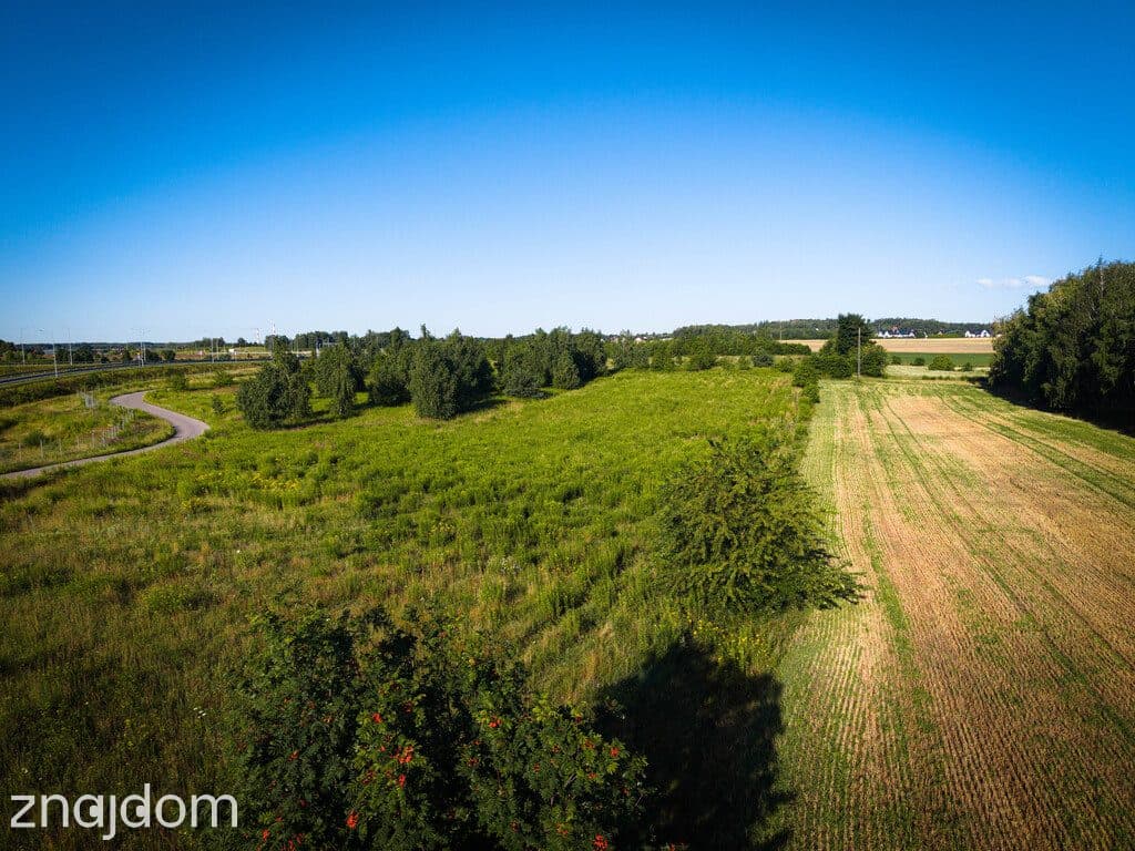 DZIAŁKA ROLNA NR 112/11 O POWIERZCHNI 7 256 m² – NATOLIN - zdjęcie 8