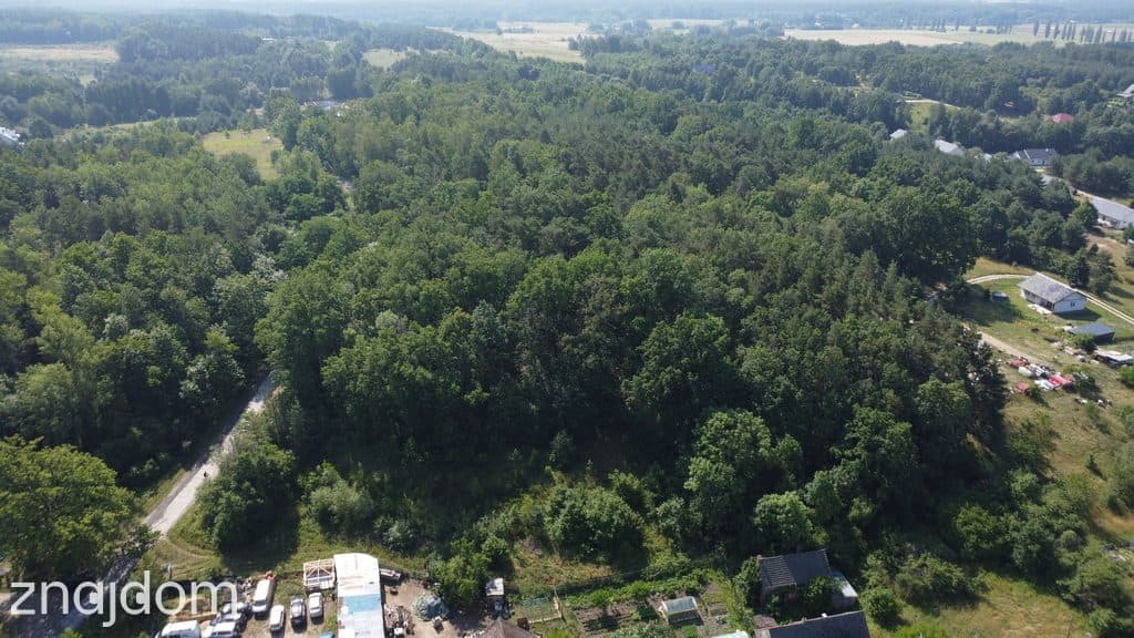 Myślisz, że 60 zł/m2 za las to oszustwo? - zdjęcie 18