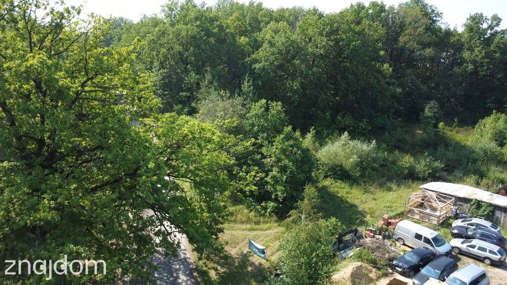 Myślisz, że 60 zł/m2 za las to oszustwo? - zdjęcie 7