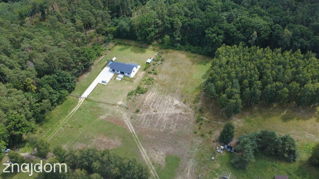 Działka przy lesie 4000 m² z warunkami zabudowy – Biały Bór - zdjęcie 4
