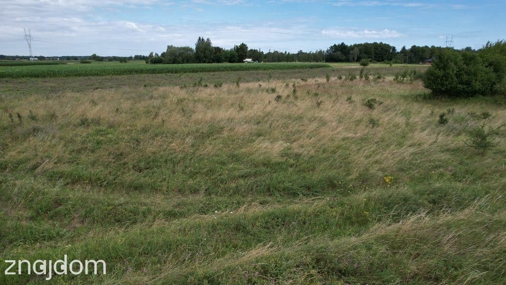 1685 m² natury z WZ. Buduj w Janowie Ruszki - zdjęcie 10