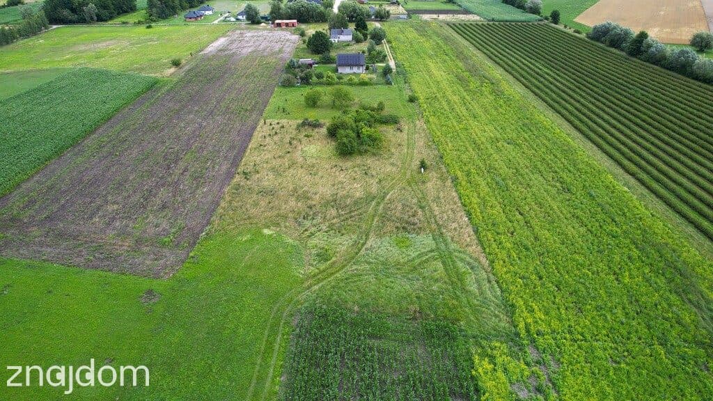 1685 m² natury z WZ. Buduj w Janowie Ruszki - zdjęcie 2