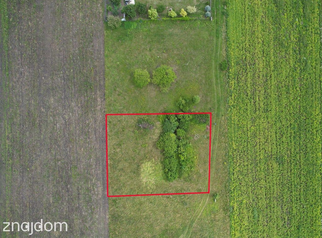 1685 m² natury z WZ. Buduj w Janowie Ruszki - zdjęcie 5