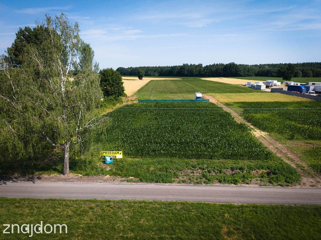Skotniki: Malownicza działka 1000m² blisko Łodzi - zdjęcie 2