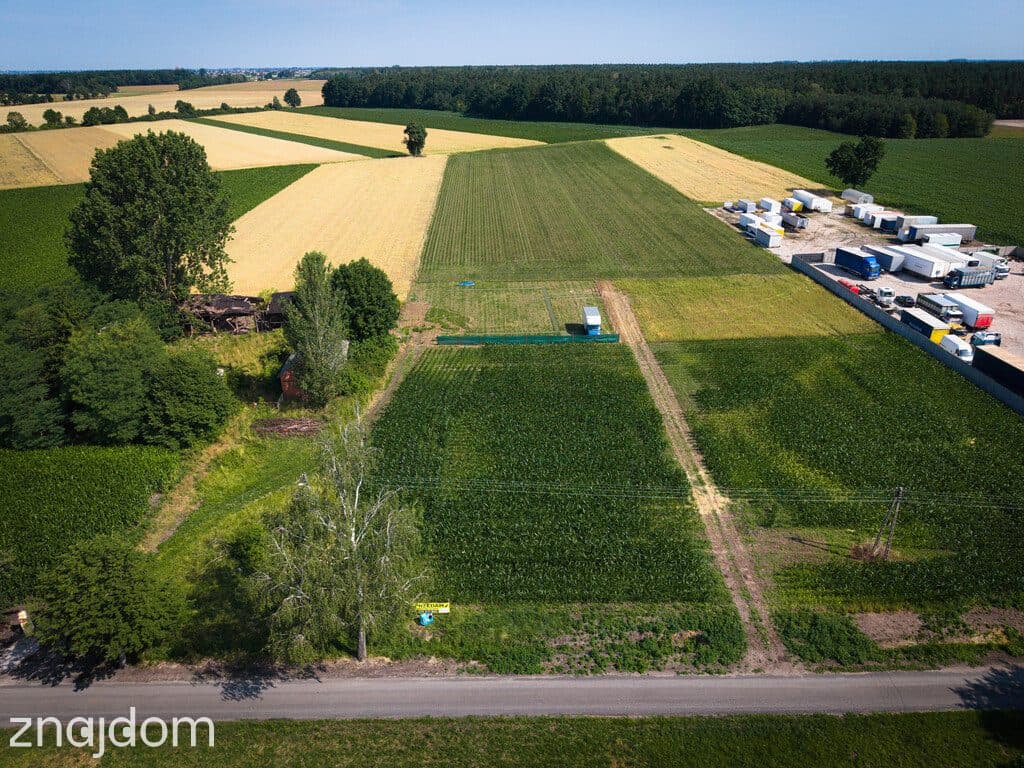 Skotniki: Malownicza działka 1000m² blisko Łodzi - zdjęcie 3