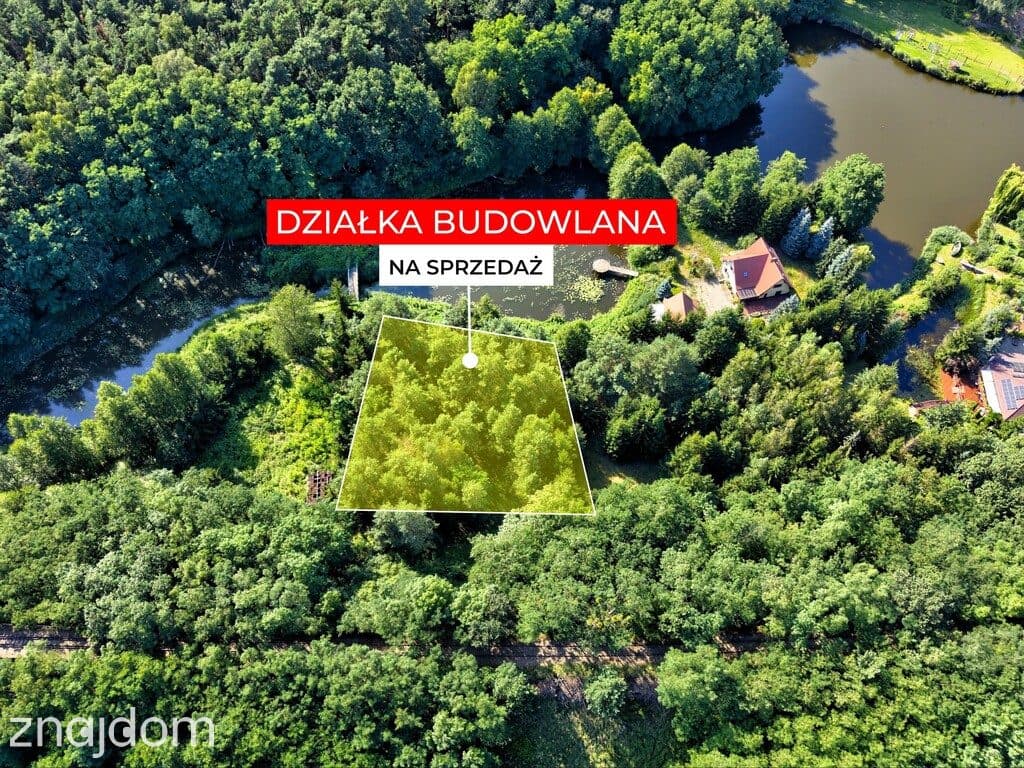 Działka Nojewo–natura-jeizora-MPZP-1715m2 - zdjęcie 4