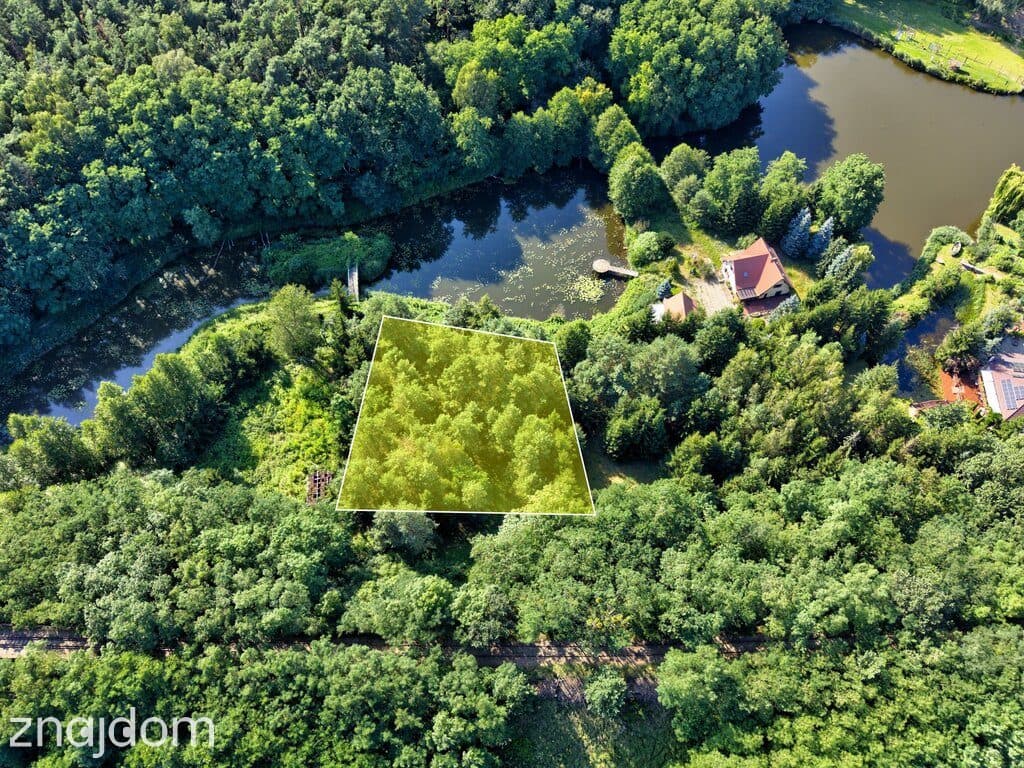Działka Nojewo–natura-jeizora-MPZP-1715m2 - zdjęcie 7