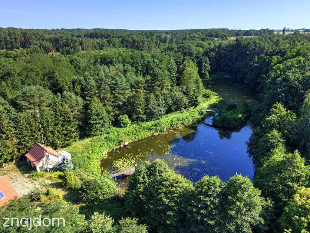 Działka Nojewo–natura-jeizora-MPZP-1715m2 - zdjęcie 6