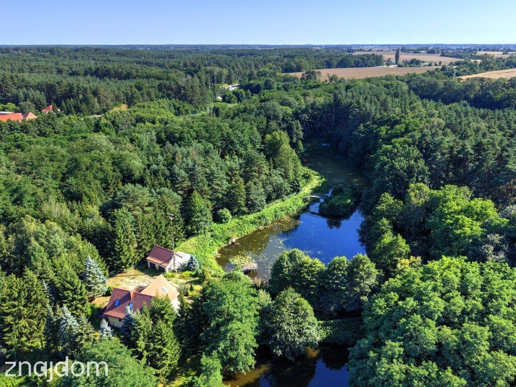 Działka Nojewo–natura-jeizora-MPZP-1715m2 - zdjęcie 8
