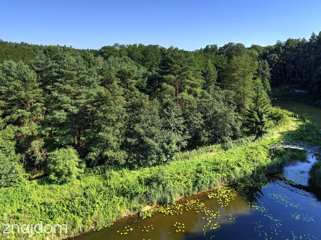 Działka Nojewo–natura-jeizora-MPZP-1715m2 - zdjęcie 9