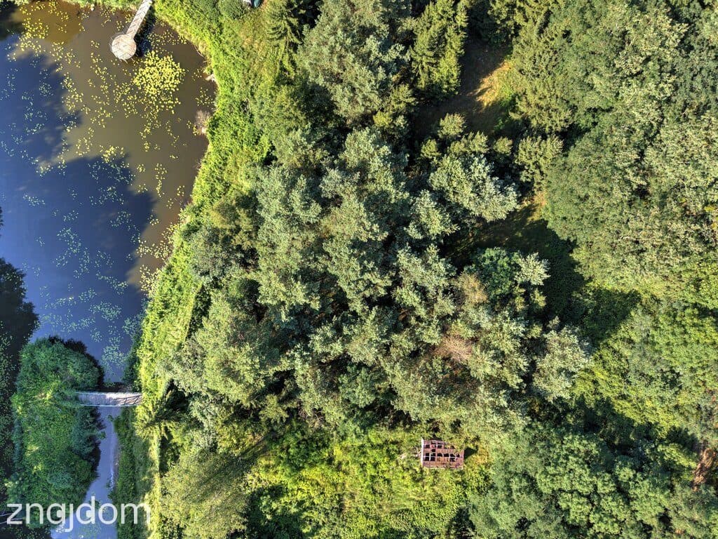 Działka Nojewo–natura-jeizora-MPZP-1715m2 - zdjęcie 14
