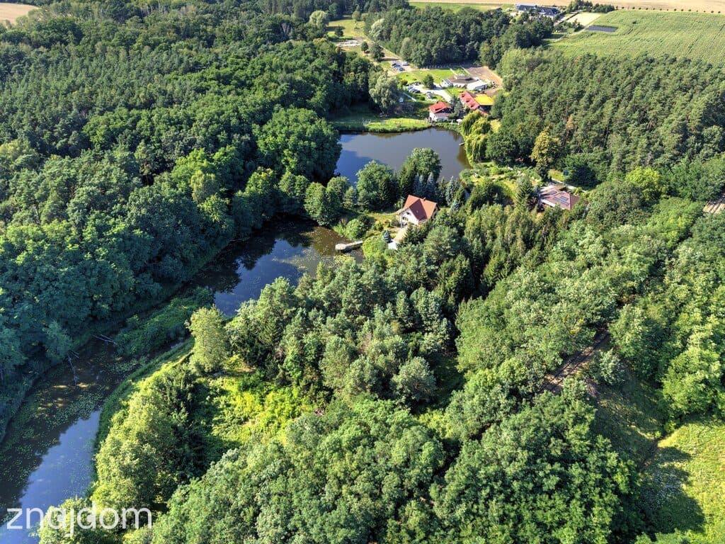 Działka Nojewo–natura-jeizora-MPZP-1715m2 - zdjęcie 18