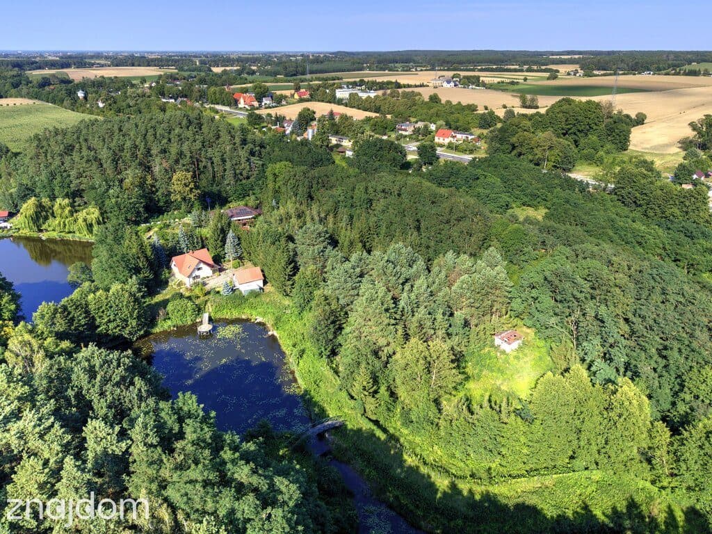 Działka Nojewo–natura-jeizora-MPZP-1715m2 - zdjęcie 10