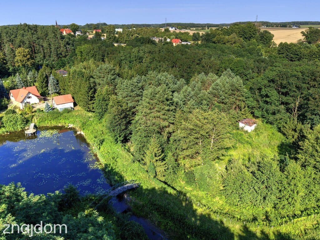 Działka Nojewo–natura-jeizora-MPZP-1715m2 - zdjęcie 11