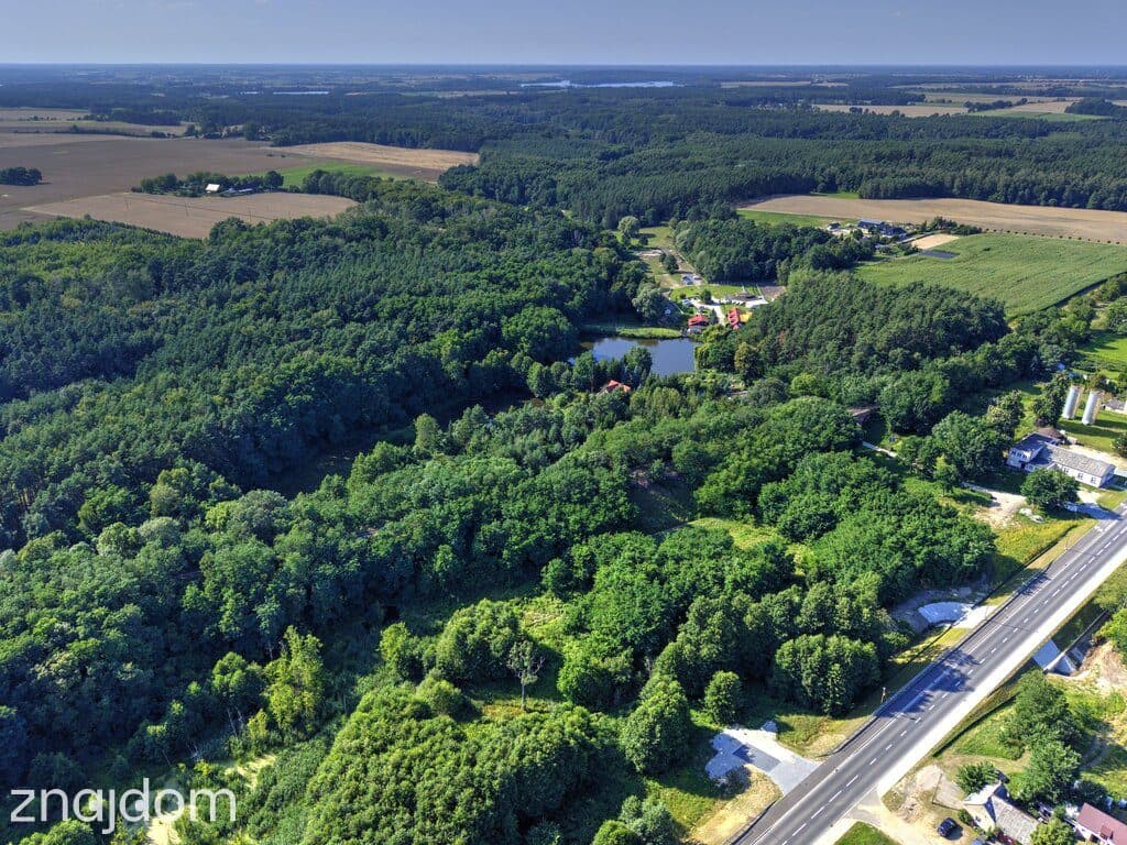 Działka Nojewo–natura-jeizora-MPZP-1715m2 - zdjęcie 19