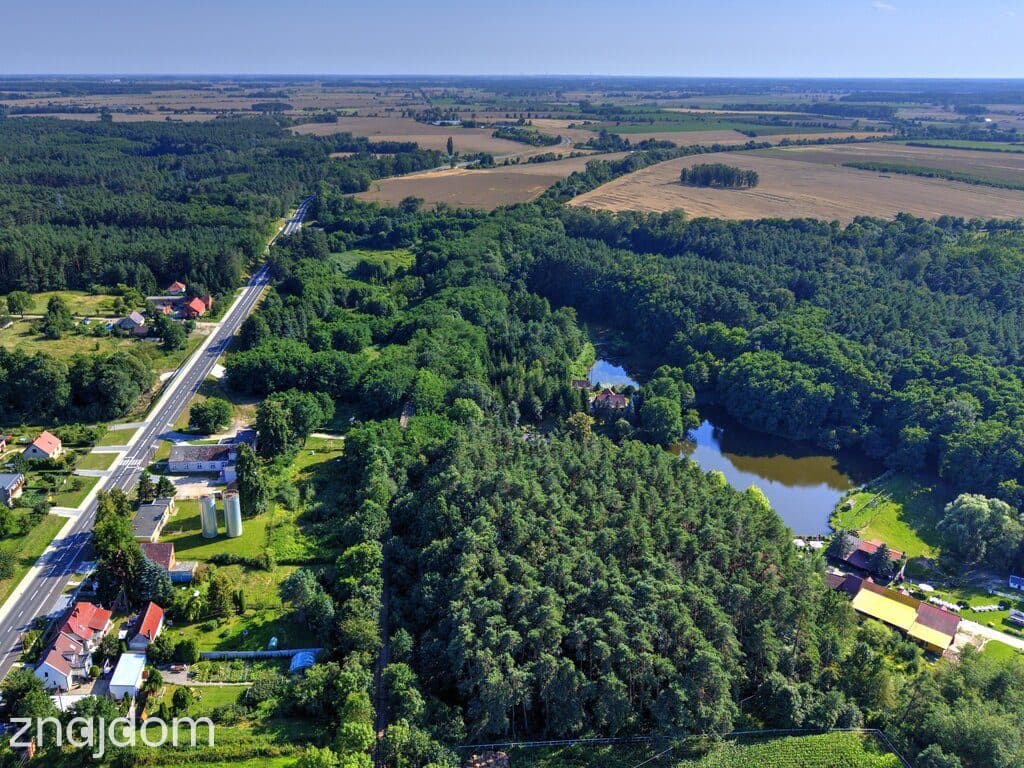 Działka Nojewo–natura-jeizora-MPZP-1715m2 - zdjęcie 13