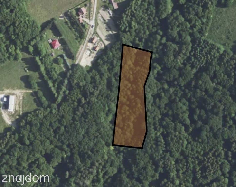 LAS Z POTENCJAŁEM – 1,4028 HA W NIEPLI POD JASŁEM - zdjęcie 8