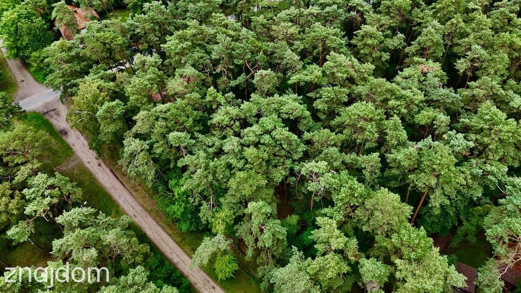 Działka budowlana 961 m2, uzbrojona, plan miejsc. - zdjęcie 2