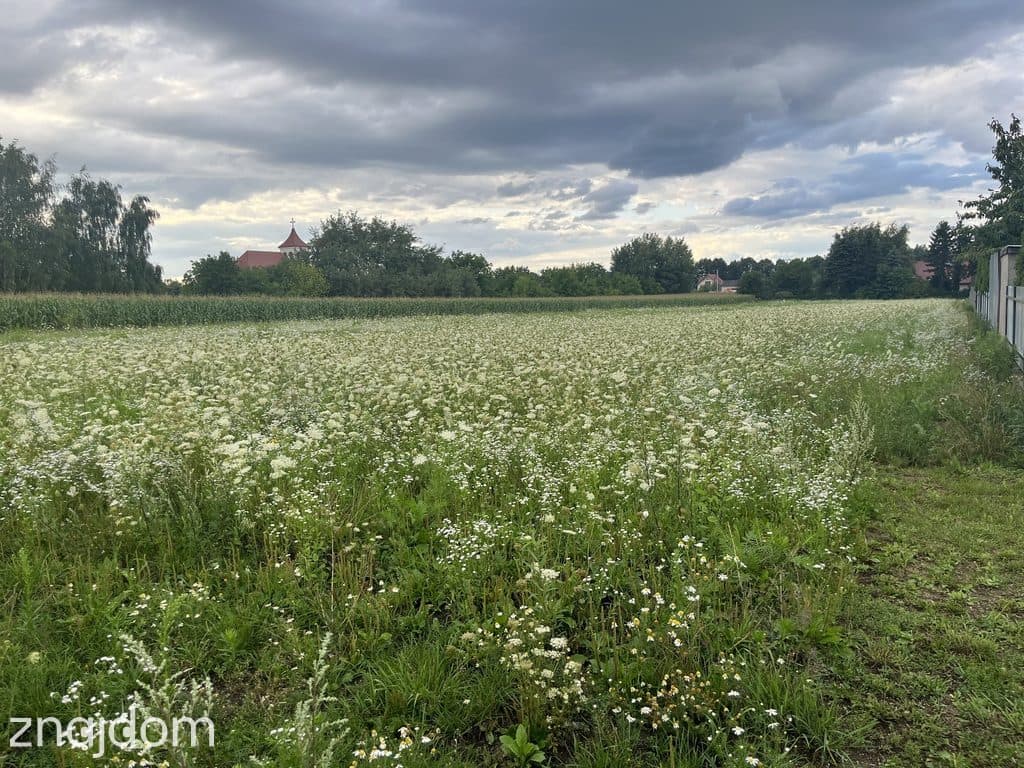 Działka inwestycyjna 6 354 m² w Zwoleniu - zdjęcie 2