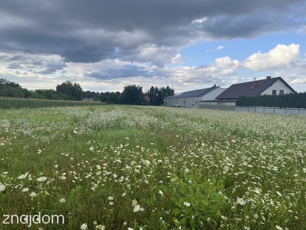 Działka inwestycyjna 6 354 m² w Zwoleniu - zdjęcie 4