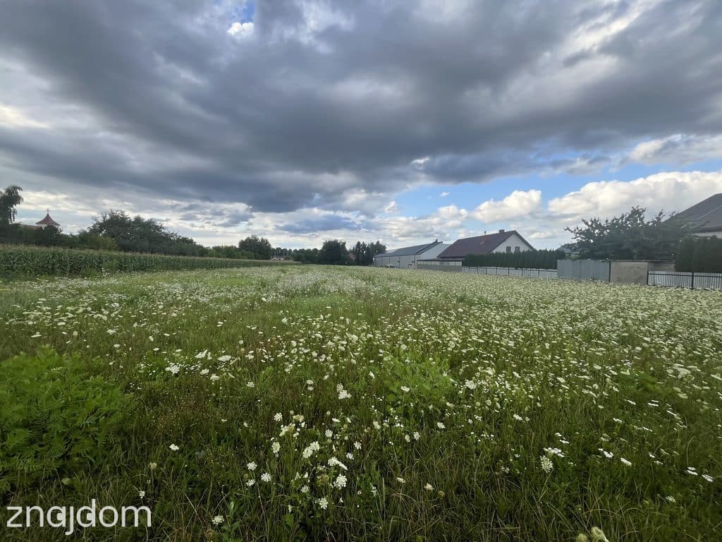 Działka inwestycyjna 6 354 m² w Zwoleniu - zdjęcie 6